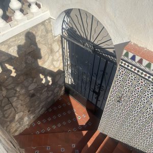 IMG-4253-scaled